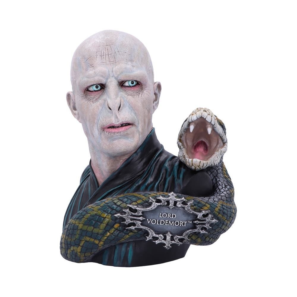 Nemesis Now Harry Potter - Lord Voldemort Figurine - Multicolours